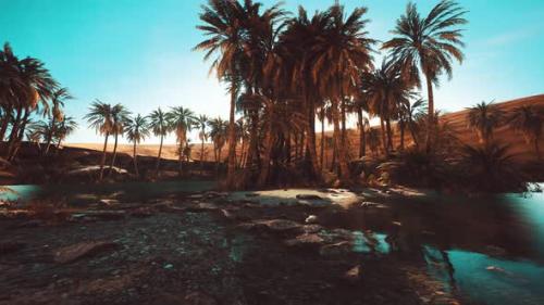 Videohive - Palm Trees in Sahara Desert - 47640185 - 47640185