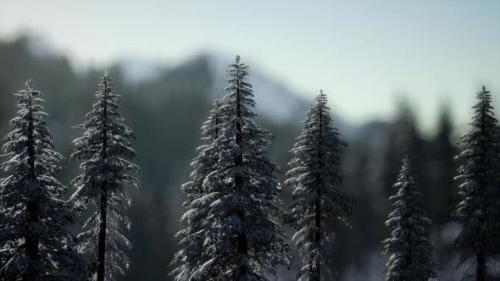 Videohive - Dramatic Winter Sunrise in the Mountains - 47640253 - 47640253