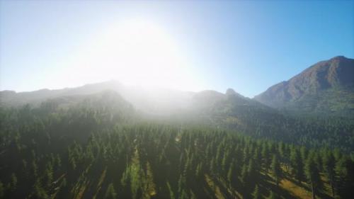 Videohive - Majestic Mountains with Forest Foreground in Canada - 47640593 - 47640593