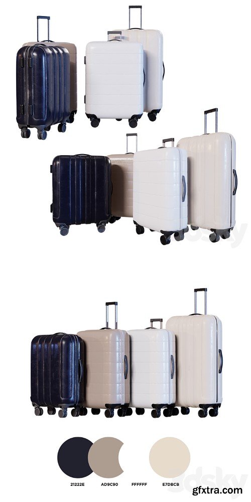 Luggage Set