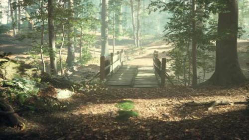 Videohive - Old Wooden Bridge Over a Small Stream in a Park - 47640974 - 47640974