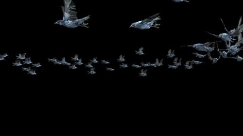 Videohive - 20 Crow Bird Bat Flying HD - 47644269 - 47644269