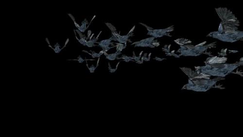 Videohive - 20 Crow Bird Bat Flying HD - 47644270 - 47644270