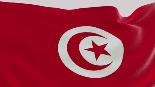 Videohive - Tunisia Fabric Flag - 47635464 - 47635464