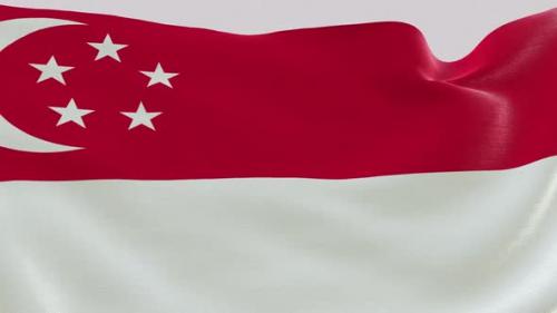 Videohive - Singapore Fabric Flag - 47635502 - 47635502