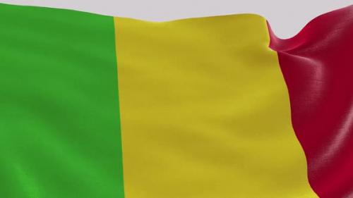 Videohive - Mali Fabric Flag - 47635608 - 47635608