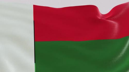 Videohive - Madagascar Fabric Flag - 47635609 - 47635609