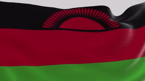 Videohive - Malawi Fabric Flag - 47635625 - 47635625