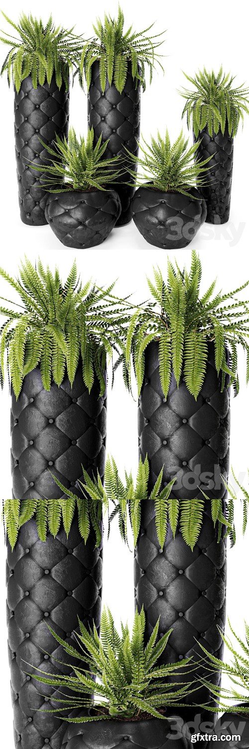 FERN + POTS Fleur Ami, luxury, flower, pot, flowerpot, fern