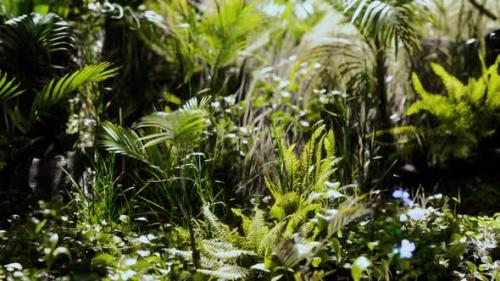 Videohive - Close Up Jungle Grass and Plants - 47639449 - 47639449