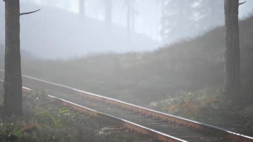 Videohive - Empty Railway Goes Through Foggy Forest in Morning - 47639950 - 47639950