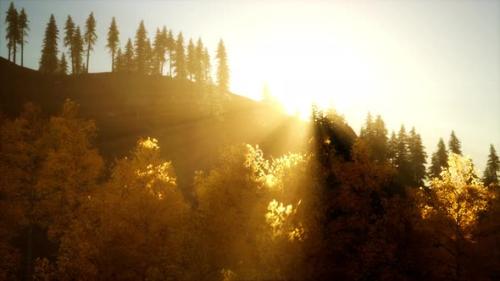 Videohive - Bright Sunset in the Mountains with Forest - 47640065 - 47640065