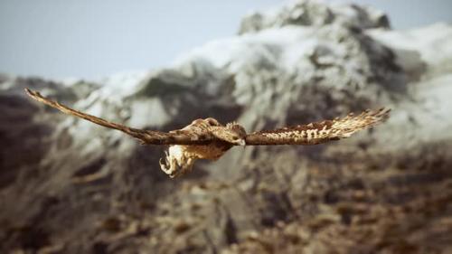 Videohive - Extreme Slow Motion Shot of Eagle - 47640562 - 47640562