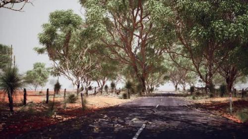 Videohive - Open Road in Australia with Bush Trees - 47640941 - 47640941