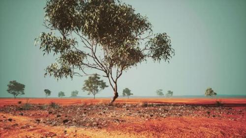 Videohive - Dry African Savannah with Trees - 47641141 - 47641141