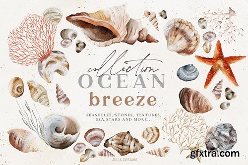 Ocean Breeze Seashells Sea Collection 79GJDMC