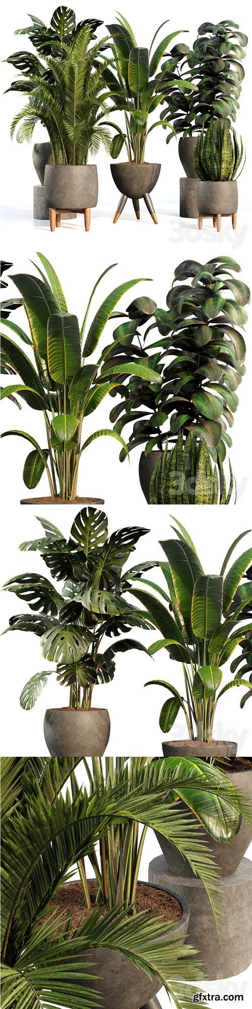 bamboo-Censoria-Indoor plant set 01