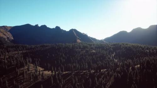 Videohive - Mountain Forest Landscape Under Evening Sky - 47640265 - 47640265