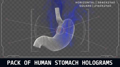 Videohive - Pack Of Human Stomach Holograms - 47631711 - 47631711