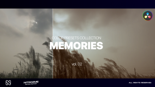 Videohive - Memories LUT Collection Vol. 02 for DaVinci Resolve - 47700646 - 47700646