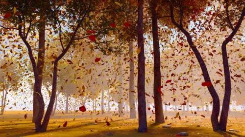 Videohive - The Beautiful Scenery Of Autumn Leaves Falling - 47613528 - 47613528