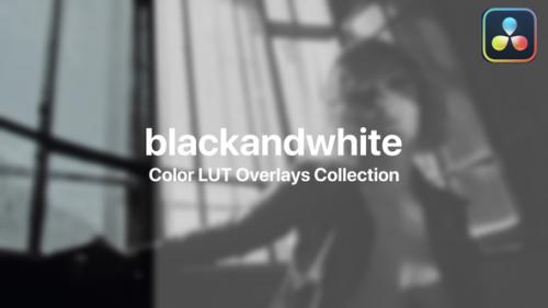 Videohive - Black&White Color Presets Vol. 01 - 47728675 - 47728675