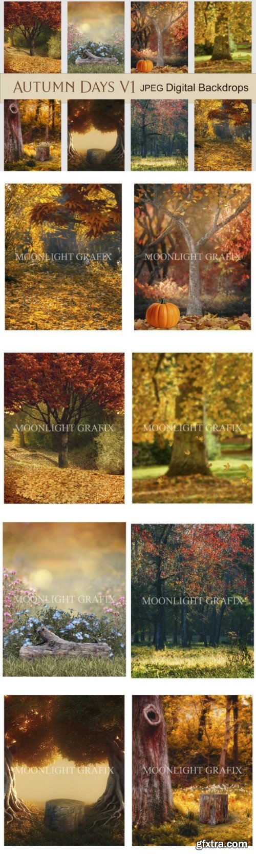 Autumn Days V1 Digital Backdrop Set