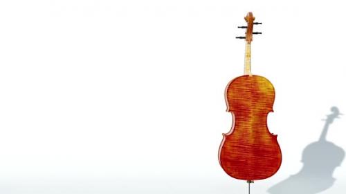 Videohive - Cello Hd - 47664848 - 47664848