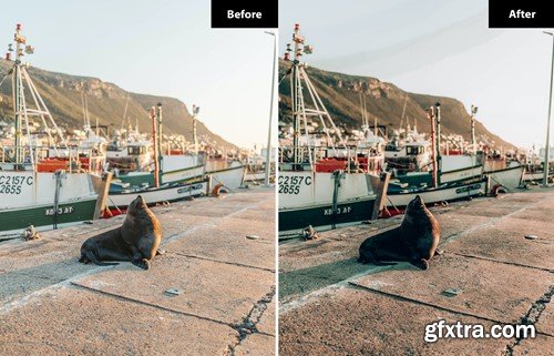 6 Graphite Lightroom and Photoshop Presets NXAKETW