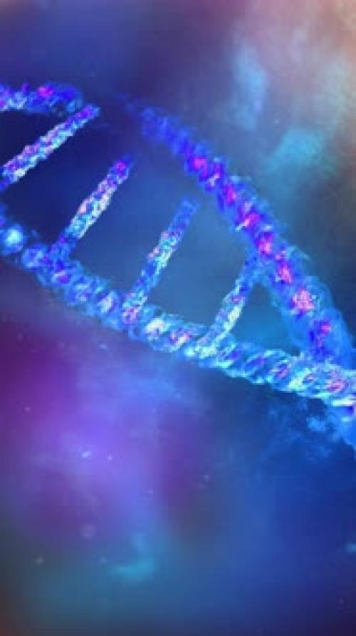 Videohive - A Section of a DNA Strand Closeup - 47688495 - 47688495