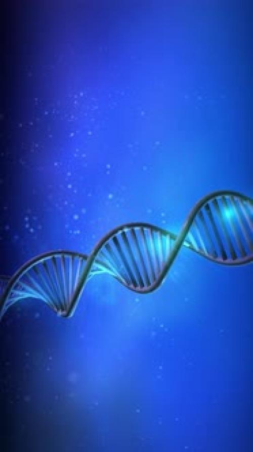 Videohive - DNA Strand Spins on a Blue Background - 47688550 - 47688550