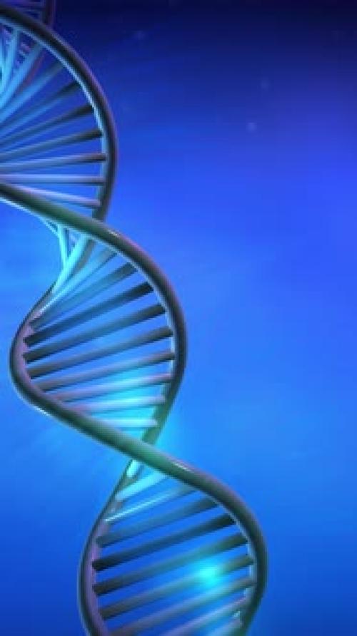 Videohive - DNA Double Helix 3D Model Rotation Video - 47688584 - 47688584