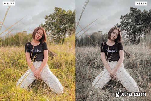 Dark Professional Lightroom Presets RC846AP