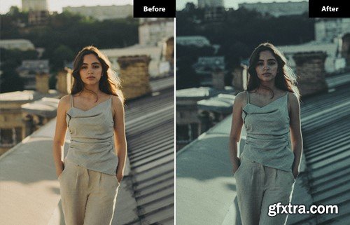 6 Tawny look Lightroom and Photoshop Presets SJUNUYH