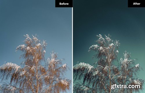 6 Snowflake Lightroom and Photoshop Presets 27BHM4X