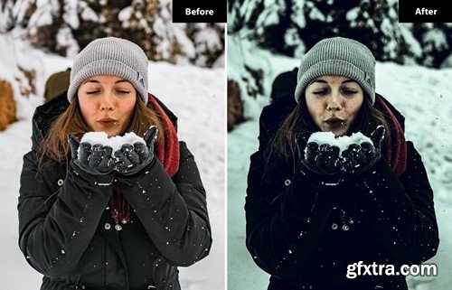 6 Snowflake Lightroom and Photoshop Presets 27BHM4X