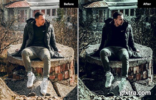 6 Snowflake Lightroom and Photoshop Presets 27BHM4X