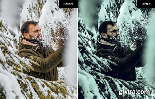 6 Snowflake Lightroom and Photoshop Presets 27BHM4X