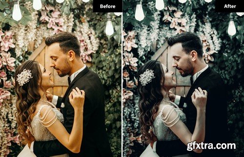 6 Pewter tones Lightroom and Photoshop Presets VKCZVFT