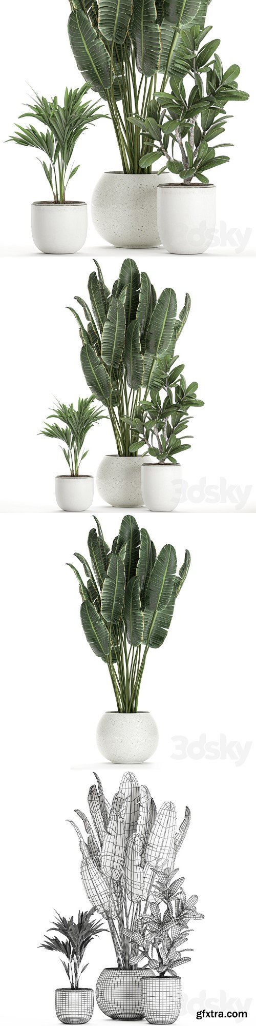 Plant collection 659. Banana, strelitzia, white flowerpot, flowerpot, Scandinavian style, interior, round flowerpot