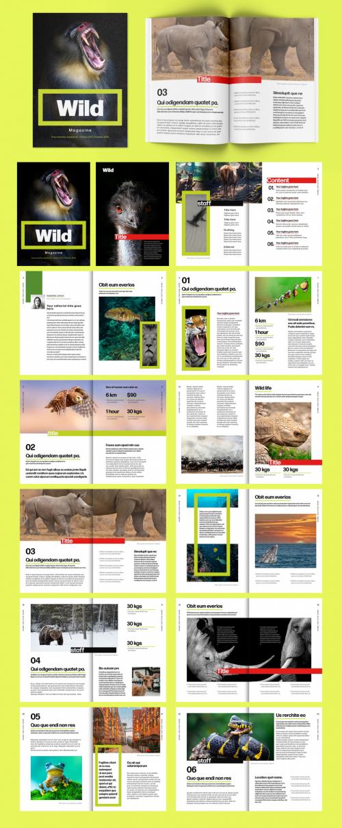 Newsletter or Magazine Layout 635821207