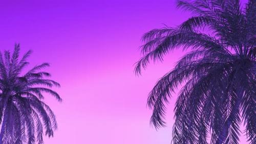 Videohive - Palm Trees And Purple Sky - 47701800 - 47701800