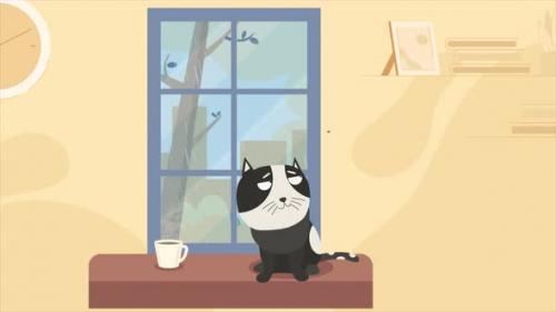 Videohive - Angry Cartoon Cat 4K - 47702946 - 47702946