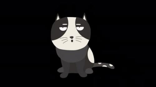 Videohive - Angry Cartoon Cat 4K - 47702947 - 47702947