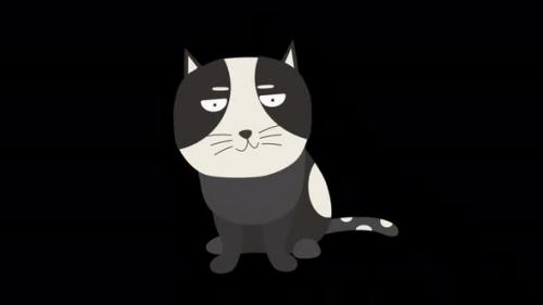 Videohive - Angry Cartoon Cat 4K - 47702948 - 47702948
