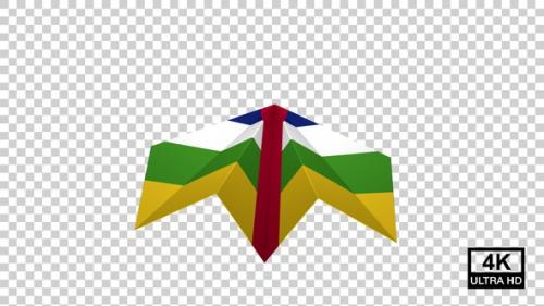 Videohive - Paper Airplane Of Central African Republic Flag - 47704288 - 47704288