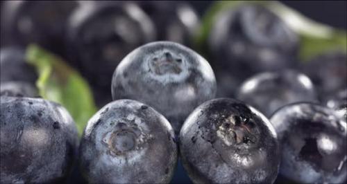 Videohive - Blueberry Falling in Juice Between Blueberries Slow Motion at 1000 Fps - 47752601 - 47752601