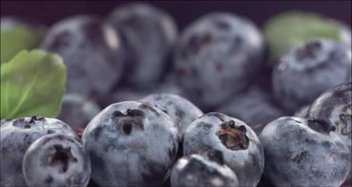 Videohive - Blueberry Falling in Juice Between Blueberries Slow Motion at 1000 Fps - 47752704 - 47752704