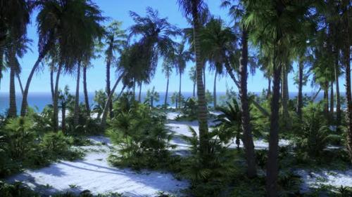 Videohive - Tropical Beach with White Sand Turquoise Water and Palm Trees - 47758160 - 47758160