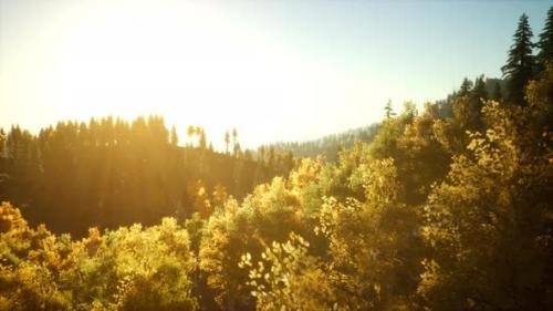 Videohive - Bright Sunset in the Mountains with Forest - 47758318 - 47758318
